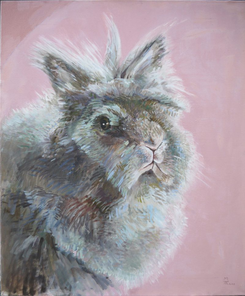 portret konijn