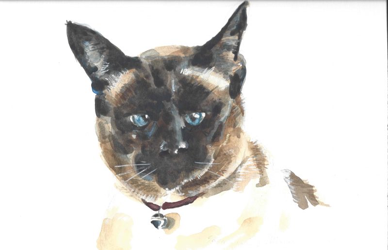 aquarel portret poes