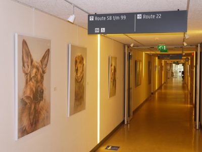 dierportret, expositie